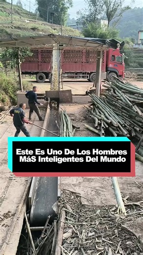 El Poder del Bambú: Transformando Desperdicio en Éxito