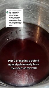 550K views · 13K reactions | Cooking wild lettuce into a resin is definitely a process, but I think it's so fun! Importantly, it's the most potent form of wild lettuce you'll get. Once I process the resin, I use around 1/8 tsp in water and honey to prepare tea. I also use the resin to make tinctures. Like, share and comment for part 3! #wildlettuce #wildlttuceresin #herbalmedicine #herbalremedies #herbgarden #medicinalgarden #plantwisdom | The gardening nurse | Facebook