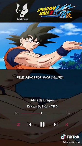 Dragon Ball Z Kai Opening Song Lyrics Video Edit