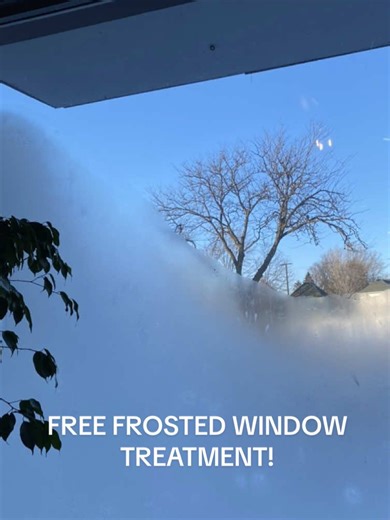 We’re open today and tomorrow for our regular hours if you want to hang out in a bookstore at THE BOOK STORE in negative degree weather! #thebookstore #coldweather #wisconsin #indiebookstore #appleton