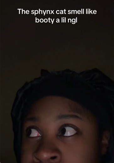 Do y'all got any tips? Contact free litter box? Booty wipes? Pet Perfume? Foods to harden his stools? Then he be farting on top of that. Those farts could immobilize a army of men. Potatoe chips, chiitlins, and ass! A ass arrangement . Lmaoooo he is a stinky little guy let this be a warning . He just stank lol. Also c it be dookie crumbs on the wash cloth during his bath and bewty residue 😭😭😭😭😭😭 #sphynxcat #sphynx #sphynxoftiktok #catsoftiktok #cat