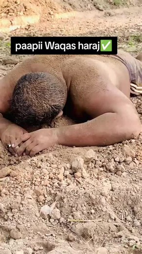 Chadi Plus Humorous Moments at BZU