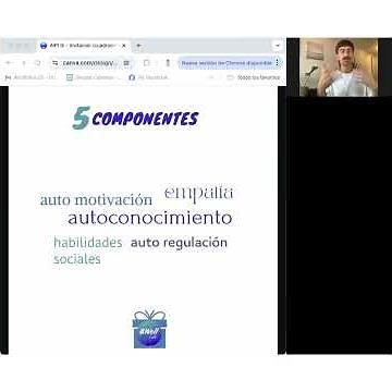 Inteligencia Emocional - Auto Regulación