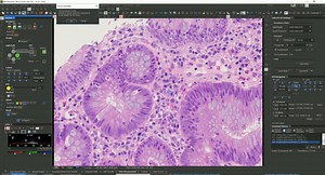 Scan Large Image NIS Elements