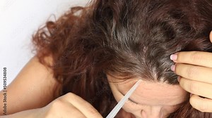 Unrecognizable woman parting long dark brown curly hair with rat-tail comb, showing roots, searching grey hair before dyeing on white background. Hair colouring, hairdresser, hair loss. Top view.