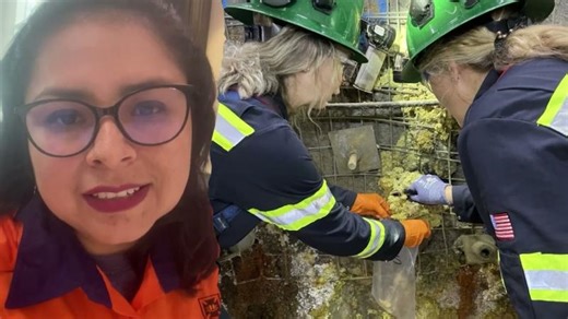 Rio Tinto | students gaining experience in the mining industry | Ros Green