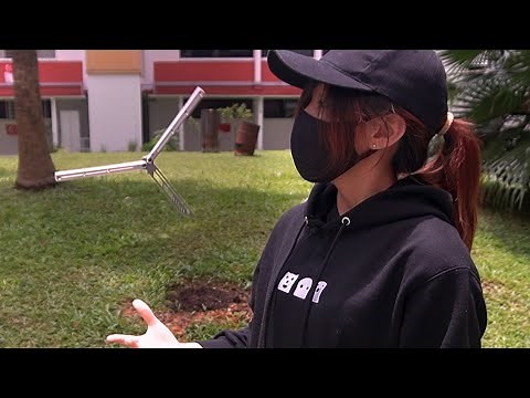 I Learned Balisong Flipping So You Don't Have To... BUT SHOULD ANYWAY