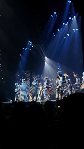 Experiencing Cats The Musical in Melbourne