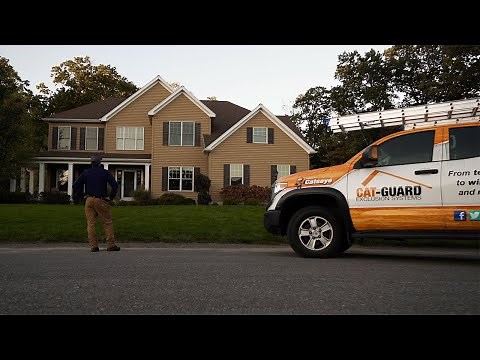 Cat-Guard Exclusion Systems: Permanent Rodent & Wildlife Protection