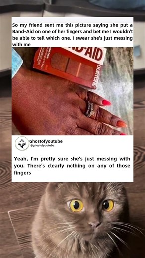 so my friend sent me this