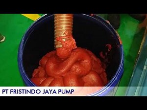 FRISTAM DOUBLE SCREW PUMPS - FDS