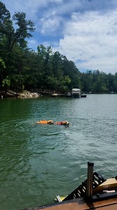 471K views · 10K reactions | Just keep swimming | Winston | Facebook