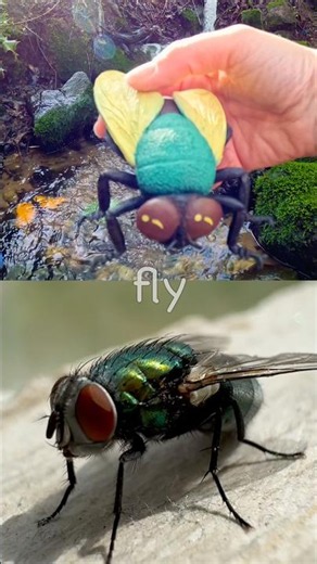 Bug Insect Names | Kids Learn at the Waterfall: Fly Ladybug Wasp Cicada Caterpillar