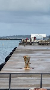 126K views · 292 reactions | …the ships crew then attach the heaving line to the messenger line which is attached to the dock line. All three line handlers work as one to pull the lines ashore￼ | Port Bermuda Webcam | Facebook