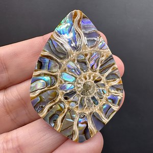 Ammonite With Abalone Shell Inlay - Etsy