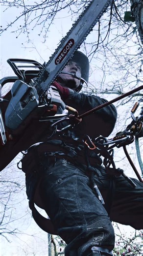 Watch This Incredible Tree Felling Moment!