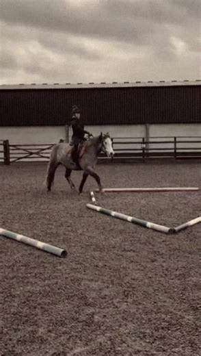 Mastering One-Handed Polework with Connemara Horses
