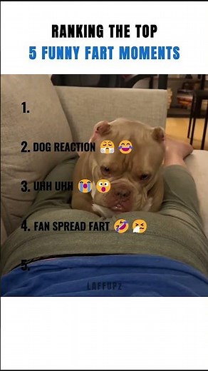 Top 5 Funniest Fart Moments Ever | Try Not to Laugh 😂