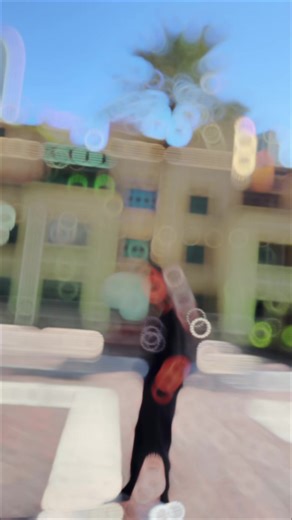 Exploring Dubai Lifestyle Through CapCut Videos