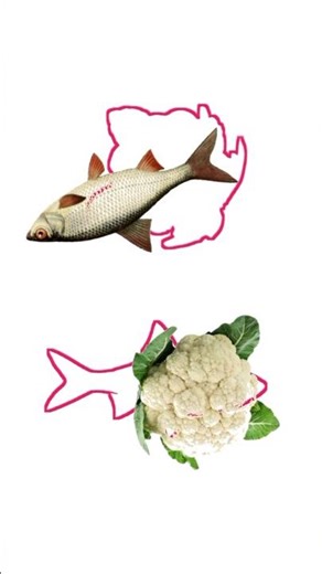 stop challenge #shortsfeed #shortsviral #gameplay #challenge