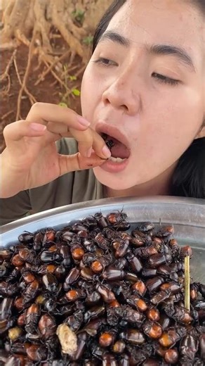 cockroach farming #shorts #farming