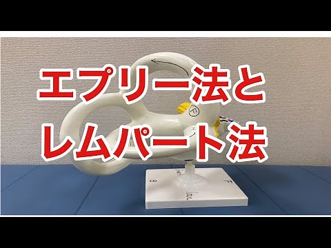 良性発作性頭位めまい症 (エプリー法 レムパート法 懸垂頭位法 )