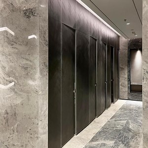 [Hot Item] Debo Washroom Partition Waterproof Custom Compact Toilet Cubicles