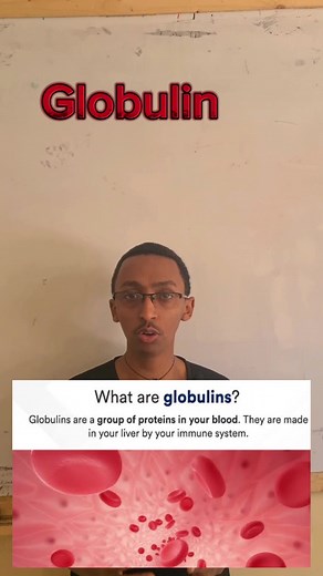 Understanding Globulin: Key Differences and Functions