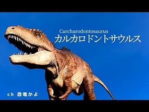 恐竜解説 カルカロドントサウルス