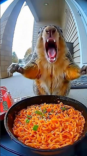 Top Animal Expert Reveals Secret to Squirrel's Funny Ramen Reaction