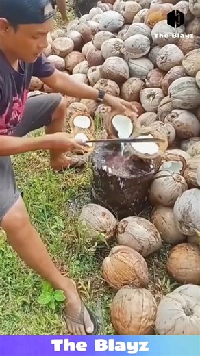 COCONUT SPLIT PRO! These Workers Slice Like Ninjas! 🥥⚡ #skills #villagelife