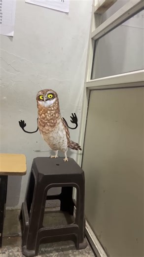 #tepukkartu #reels #viral #viralvideo #trending #explore #explorepage #foryou #apt #ytshorts #comedy