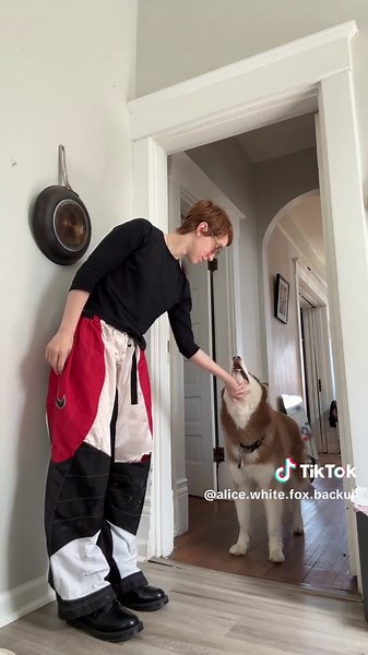 Alice White (@alice.white.fox.backup)’s videos with original sound - Alice White