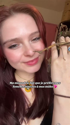 Objectivement elles sont mieux💖 #misandre #8mars #feminisme #insectedecompagnie #animaldecompagnie