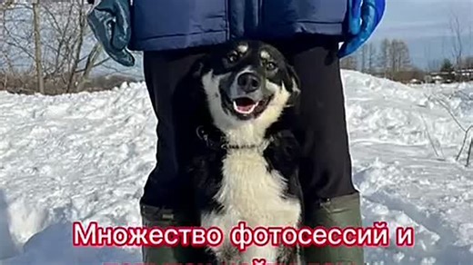 VID_20240224_154817_798.mp4.mov