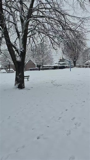 Vidéos de National (@national.mco) avec الصوت الأصلي - @Mounir2090#