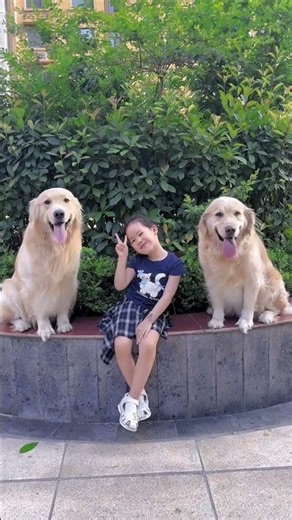 The golden retriever and the little girl sat on the flower bed to take a picture as a souvenir🥳