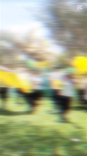 ¡La diversión y el compañerismo fueron los protagonistas de este día! ❤️ #AmigosMatch #25Aniversario #Diversión #AmigosSchool | Colegio Amigos School