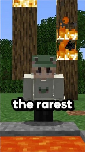 The Rarest Dye in Minecraft