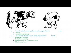 KCSE 2024 AGRICULTURE PAPER