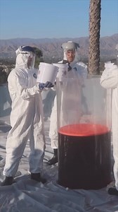 19K views · 258 reactions | Giant elephant Toothpaste in my living room | Arnie | Facebook