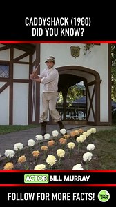 560K views · 4.5K reactions | Classic Murray in a classic scene. #caddyshack #caddyshackmovie #caddyshack1980 #chevychase #billmurray #briandoylemurray #rodneydangerfield #haroldramis #tedknight #cindymorgan #80scomedies #80smovies #80smovie #scottneumyer #didyouknowthis #didyouknowthat #movietrivia #triviadude | Scott Neumyer | Facebook