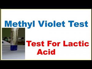 Methyl Violet Test For Lactic Acid