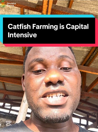 Understanding Capital Intensive Catfish Farming