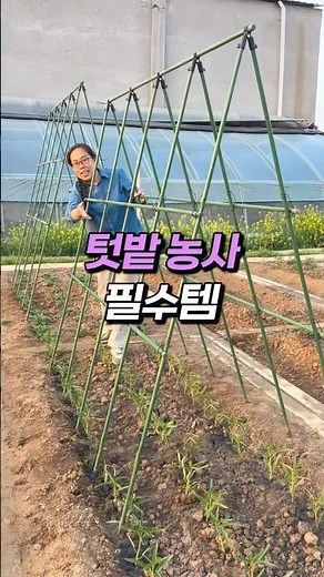텃밭 농사 편하게 세팅할 수 있어요 #식물지지대