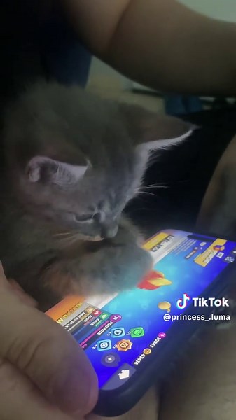 princess_.luma sur TikTok