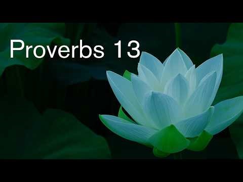Proverbs Chapter 13: Walking with the Wise (Relaxing Bible Reading)