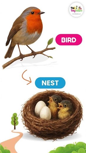 Animals and Their Homes for Kids 🐶🏡 | Learn Animal Homes with Pictures & Pronunciation