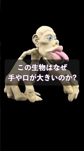 今回はホムンクルスについて簡単に解説。今後も不思議で面白い脳と身体の仕組みを発信していきますのでフォローしてお待ち下さい🧠#ホムンクルス #ホムンクルス模型 #医学 #リバビリ #ペンフィールド