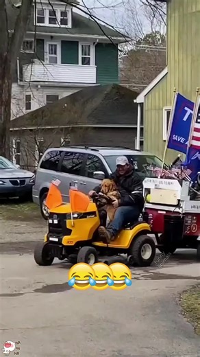 Paranoid security guard mode ACTIVATED 😭💀#petsoftiktok #catsoftiktok #dogsoftiktok #voiceover #animal